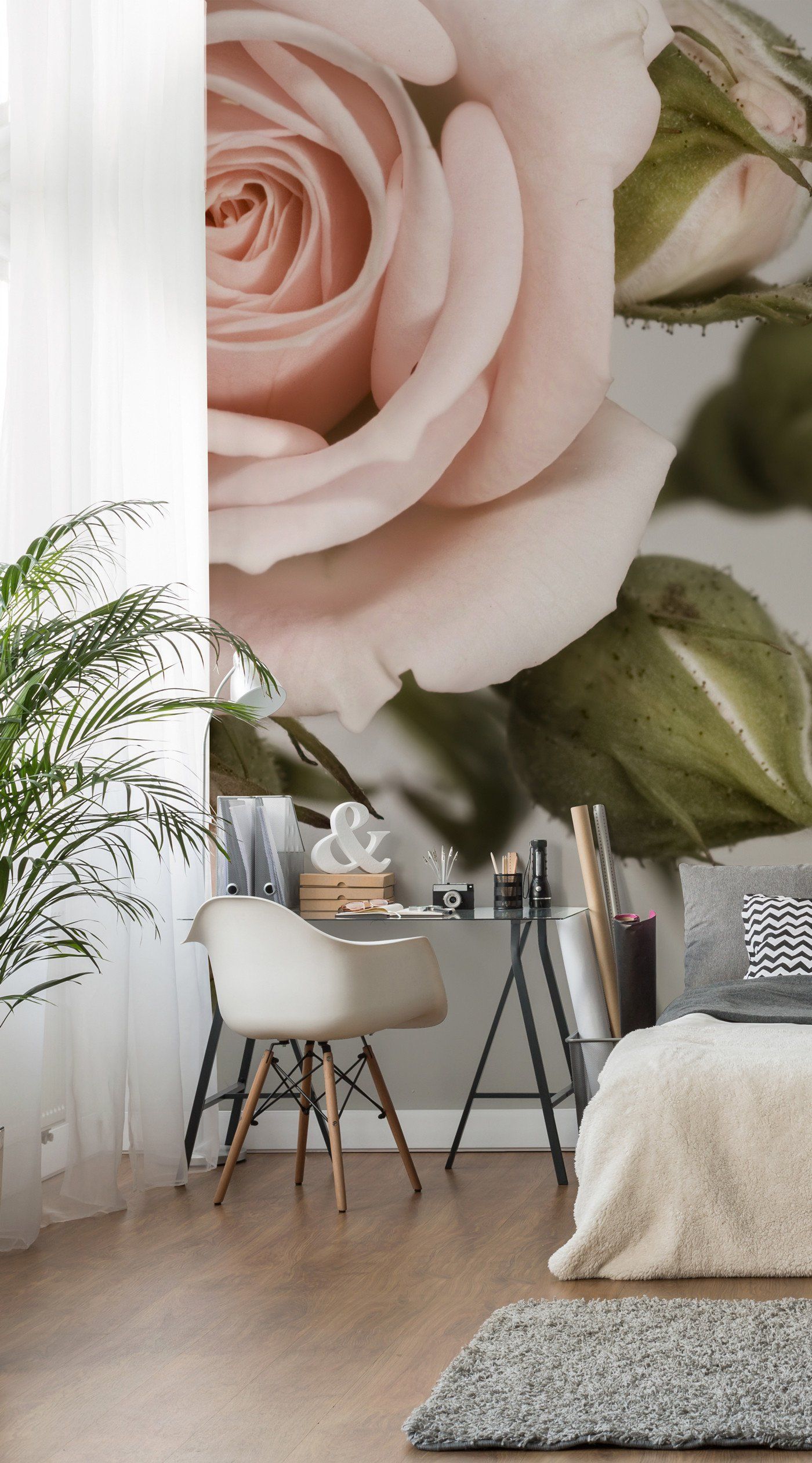 Açık Pembe Gül - HD Wallpaper 