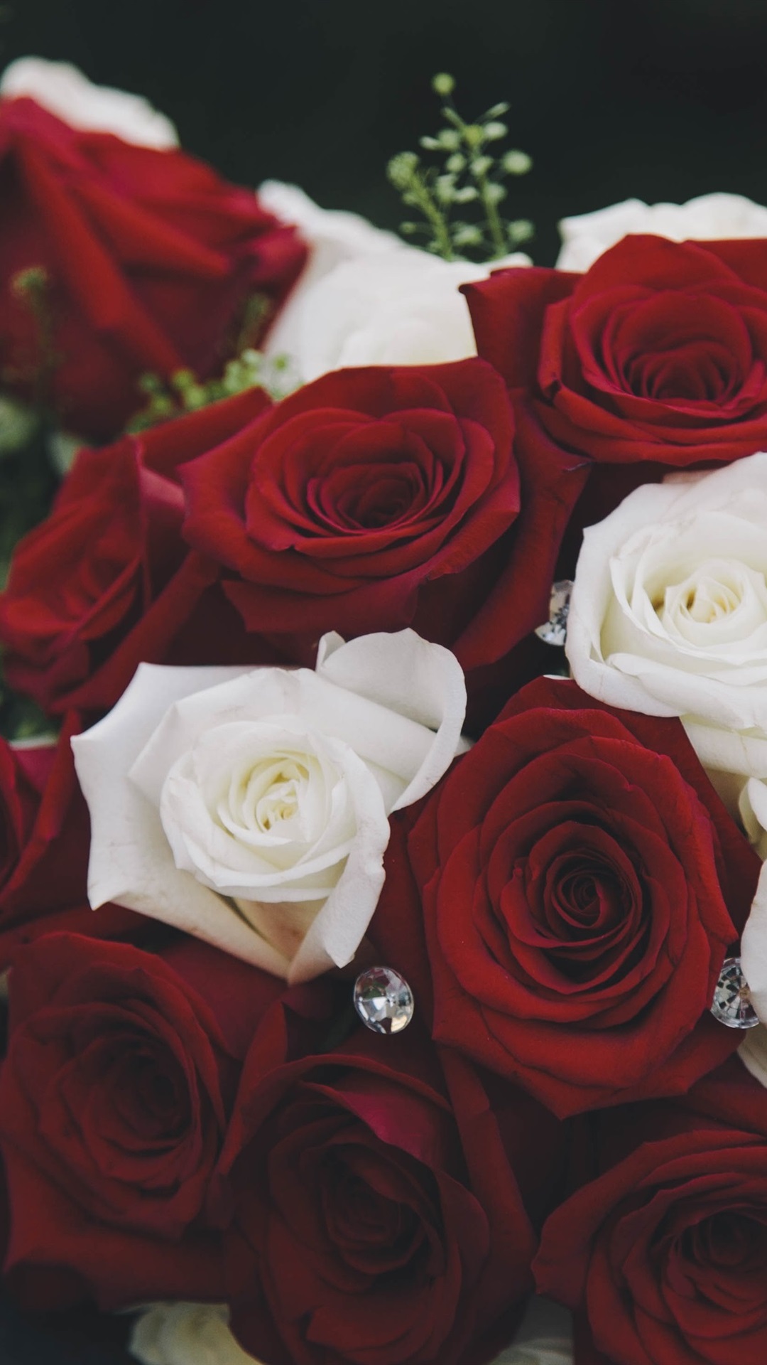 Iphone Wallpaper Bouquet, Red And White Roses - Flower Bouquet - HD Wallpaper 