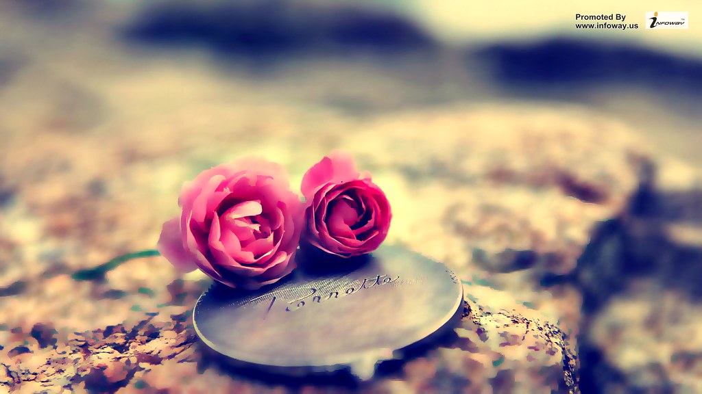 Heart Touching Pic Download - HD Wallpaper 