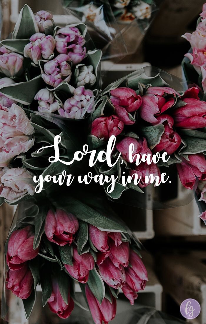 Lord Image - Christian Wallpaper With Flowers - HD Wallpaper 