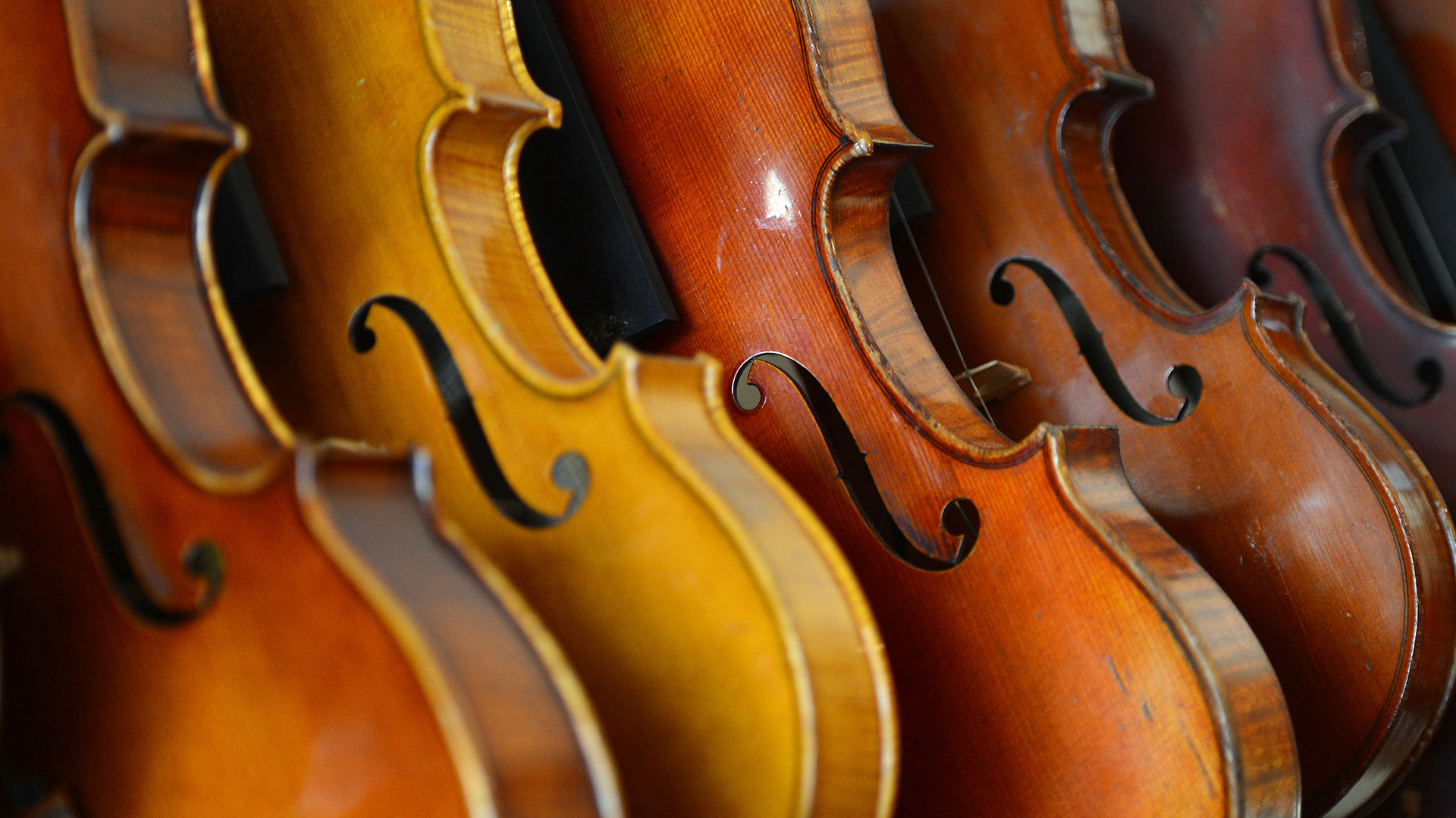 Violins - Violin - 1920x1080 Wallpaper - teahub.io