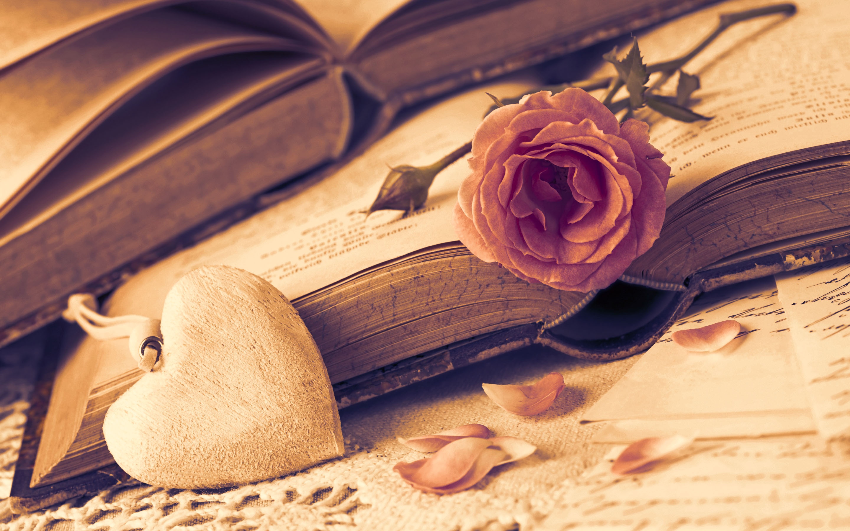 Romantic Heart Love Rose - Rose Romantic Heart - HD Wallpaper 