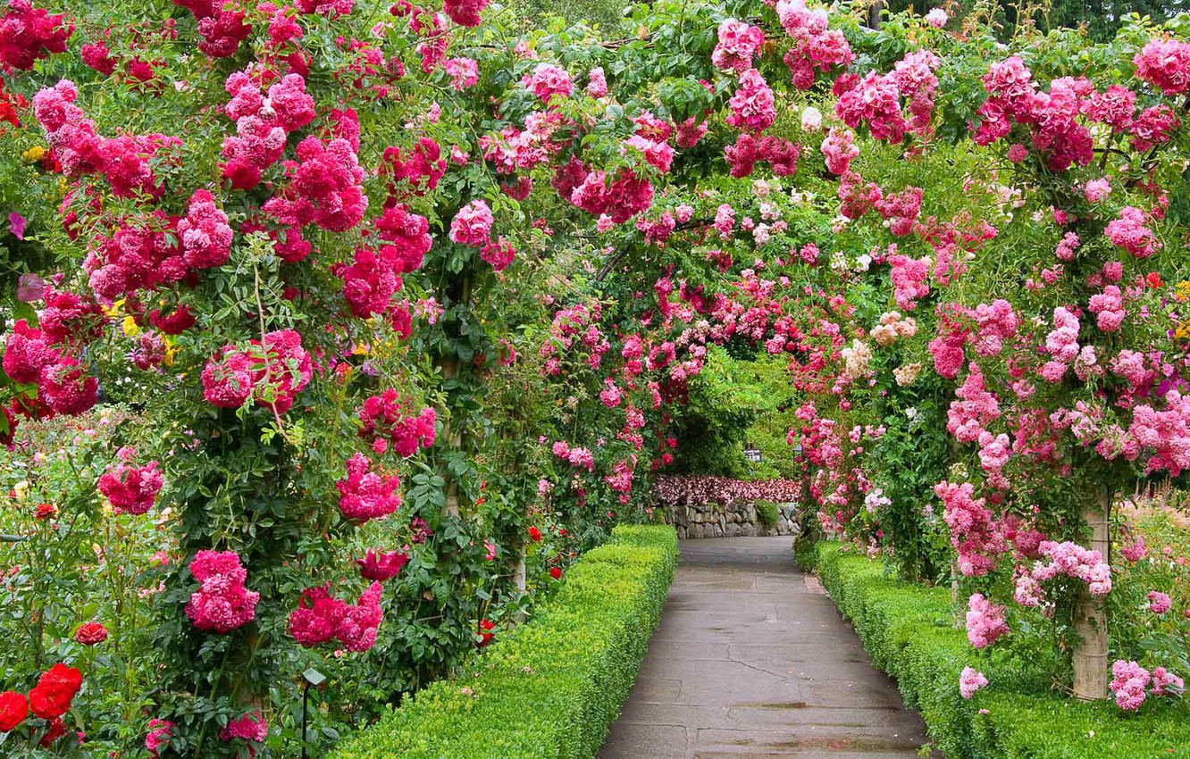 Photo Wallpaper Park, Roses, Garden, Canada, Alley, - Beautiful Flower House - HD Wallpaper 