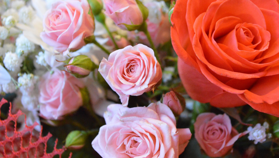 Bouquet, Rose, Colorful, Wallpaper - Garden Roses - HD Wallpaper 