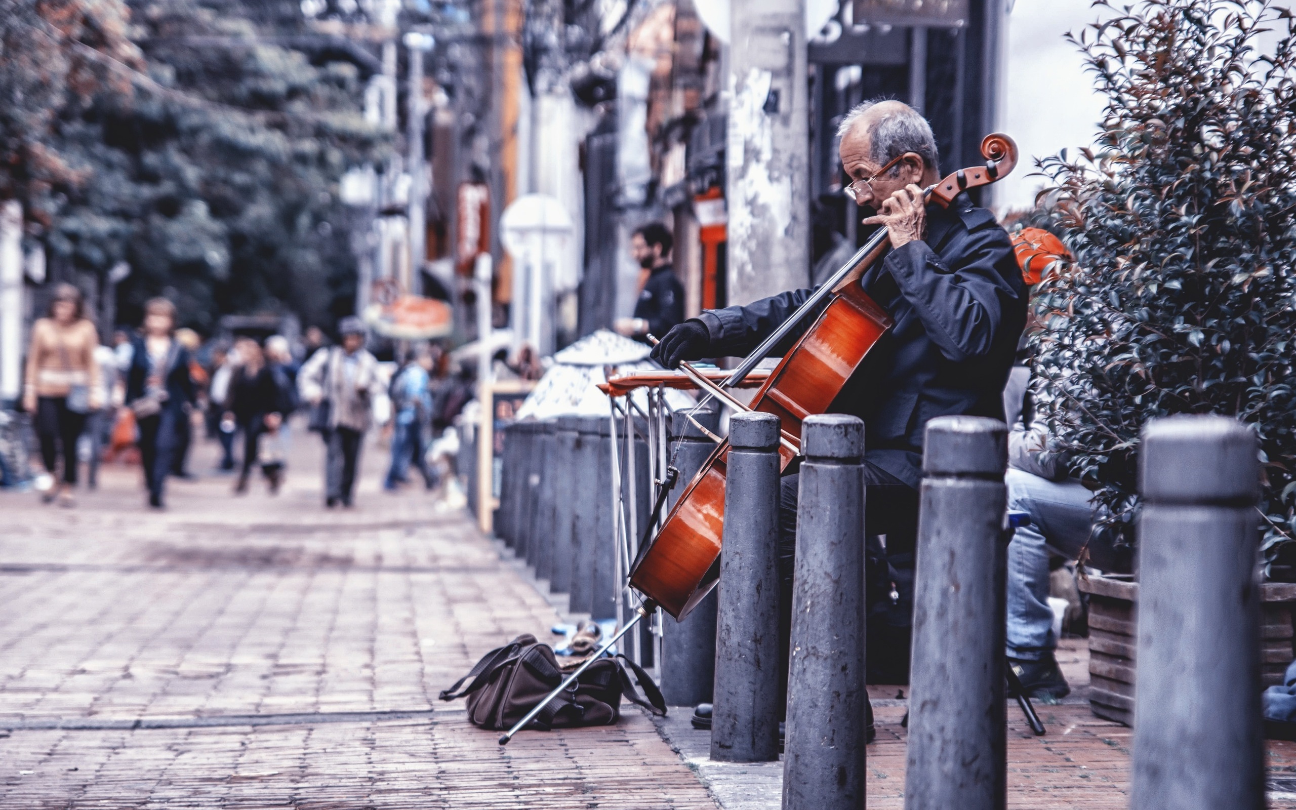 Wallpaper Street, Cello, Music, Artist - Music - HD Wallpaper 