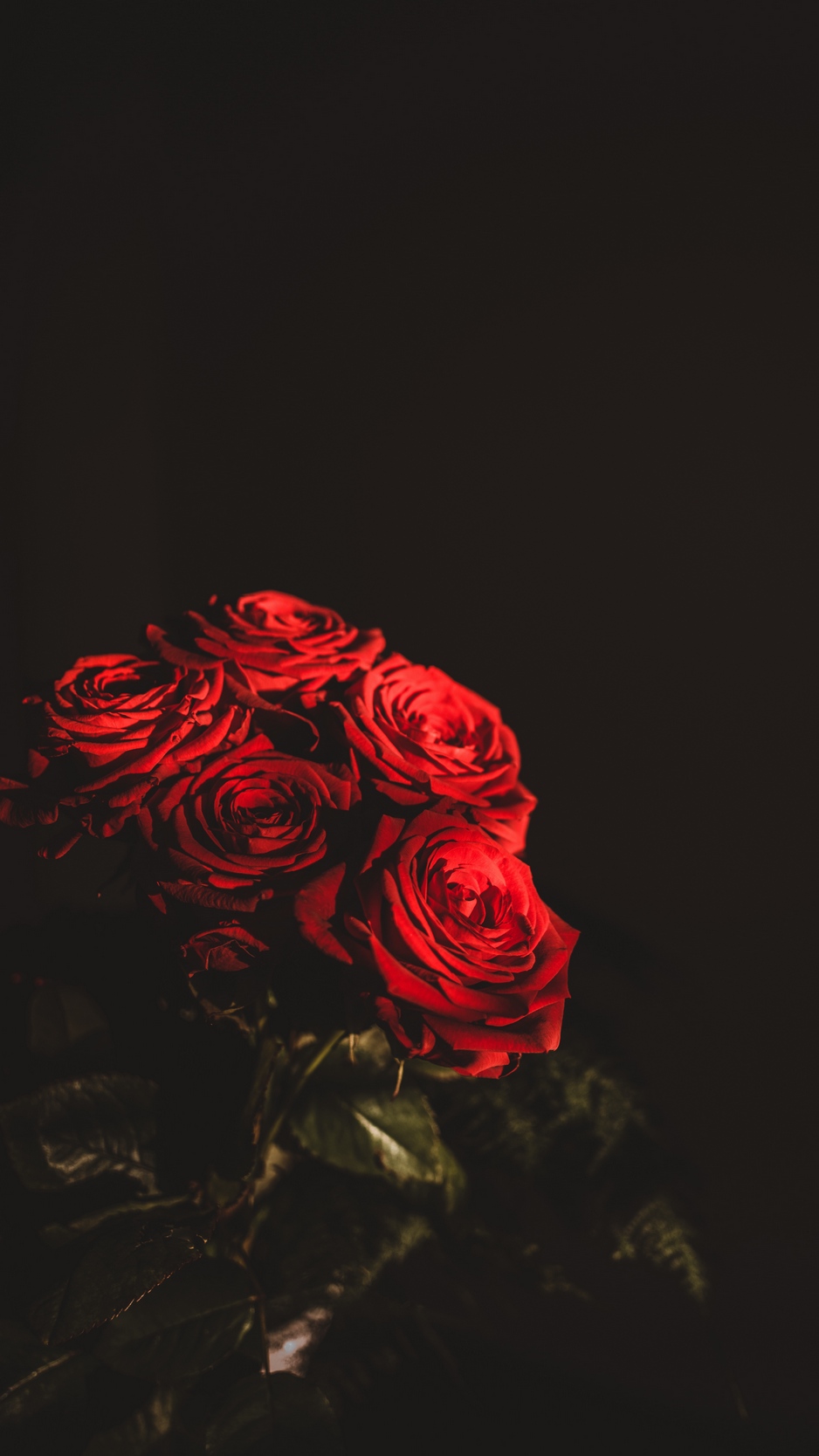 Wallpaper Roses, Bouquet, Flowers, Dark, Red - Iphone Wallpaper Flower Red  Black - 938x1668 Wallpaper 