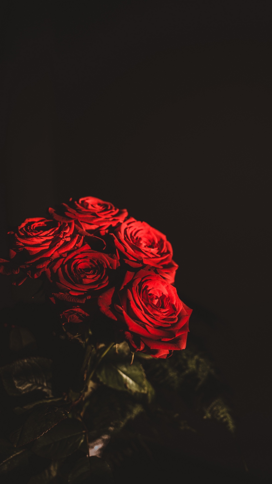 Wallpaper Roses, Bouquet, Flowers, Dark, Red - Iphone Wallpaper Flower Red Black - HD Wallpaper 