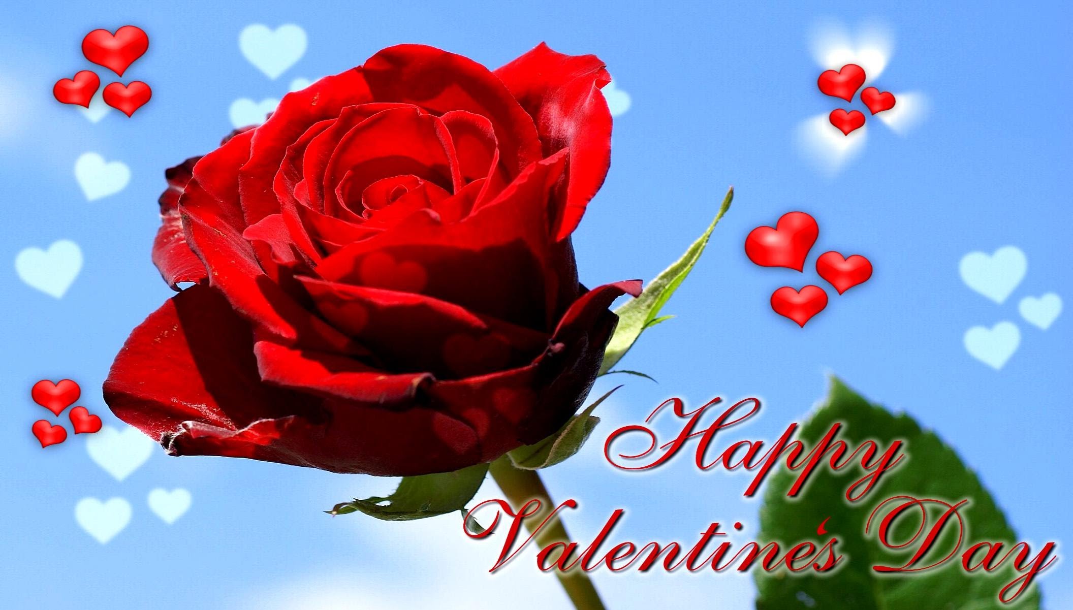 Single Rose Flower Hd Wallpaper - Romantic Happy Valentine Day - HD Wallpaper 