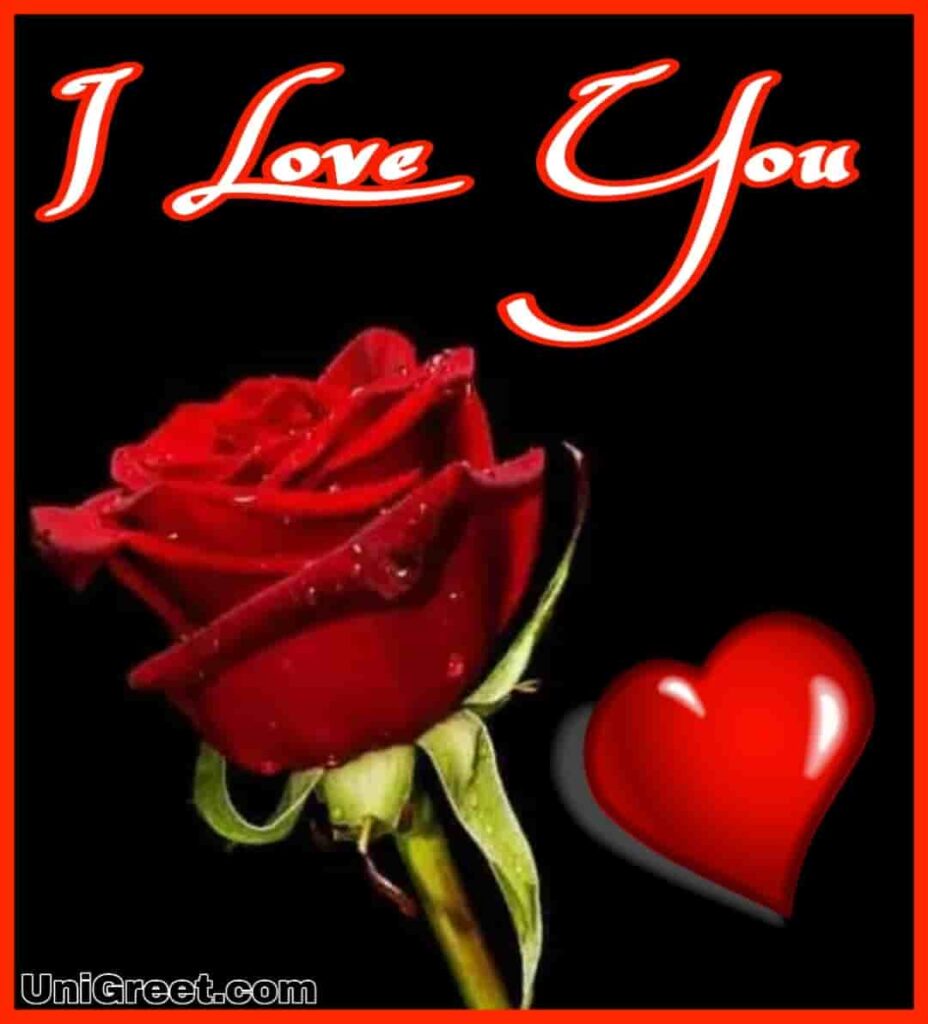 Top 55 Beautiful I Love You Roses Images Photo Pics - Good Morning Rose  Flower - 928x1024 Wallpaper 