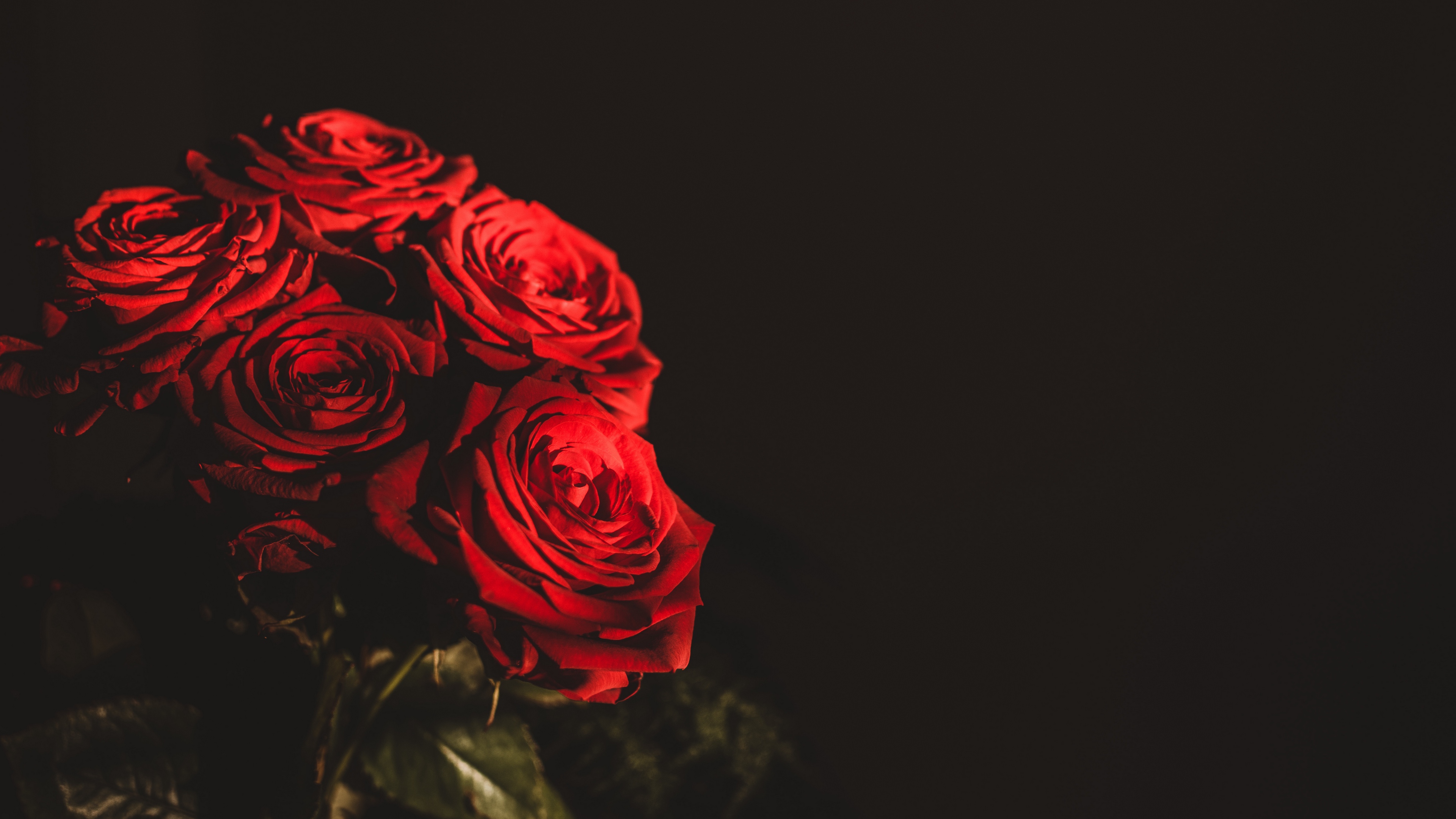 Wallpaper Roses, Bouquet, Flowers, Dark, Red - Iphone Wallpaper Flower Red Black - HD Wallpaper 