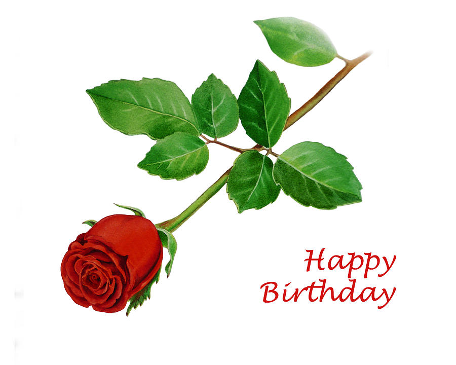 Red Roses, Most Popular Rose, Rose Wallpapers, Beautiful - Happy Birthday To You Rose - HD Wallpaper 