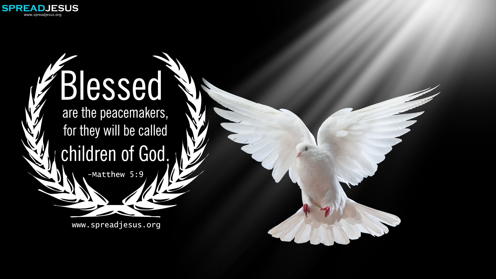 Matthew 1920x1080 wallpaper teahub io