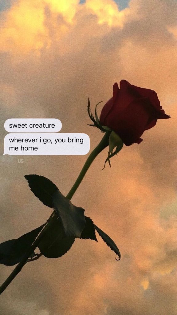 Wallpaper, Sweet Creature, And Lockscreen Image - If The Hurt Comes So Will The Happiness - HD Wallpaper 