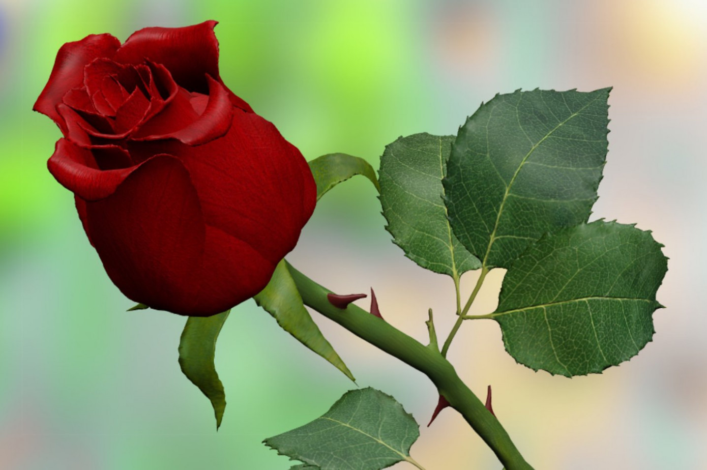 Red Rose 12d Model In Flowers 12dexport - Red Rose 3d Model - HD Wallpaper 