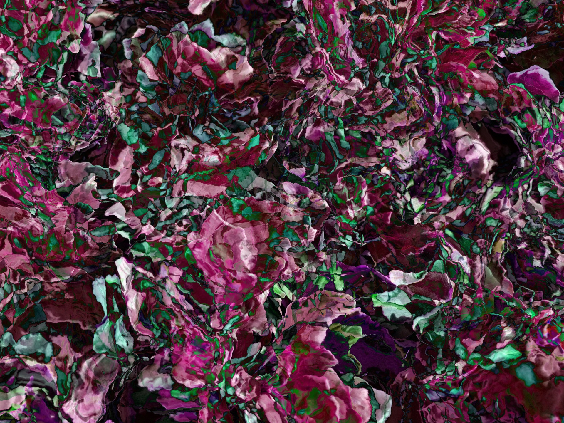 Background Rose colored Red Free Photo - Flower - HD Wallpaper 