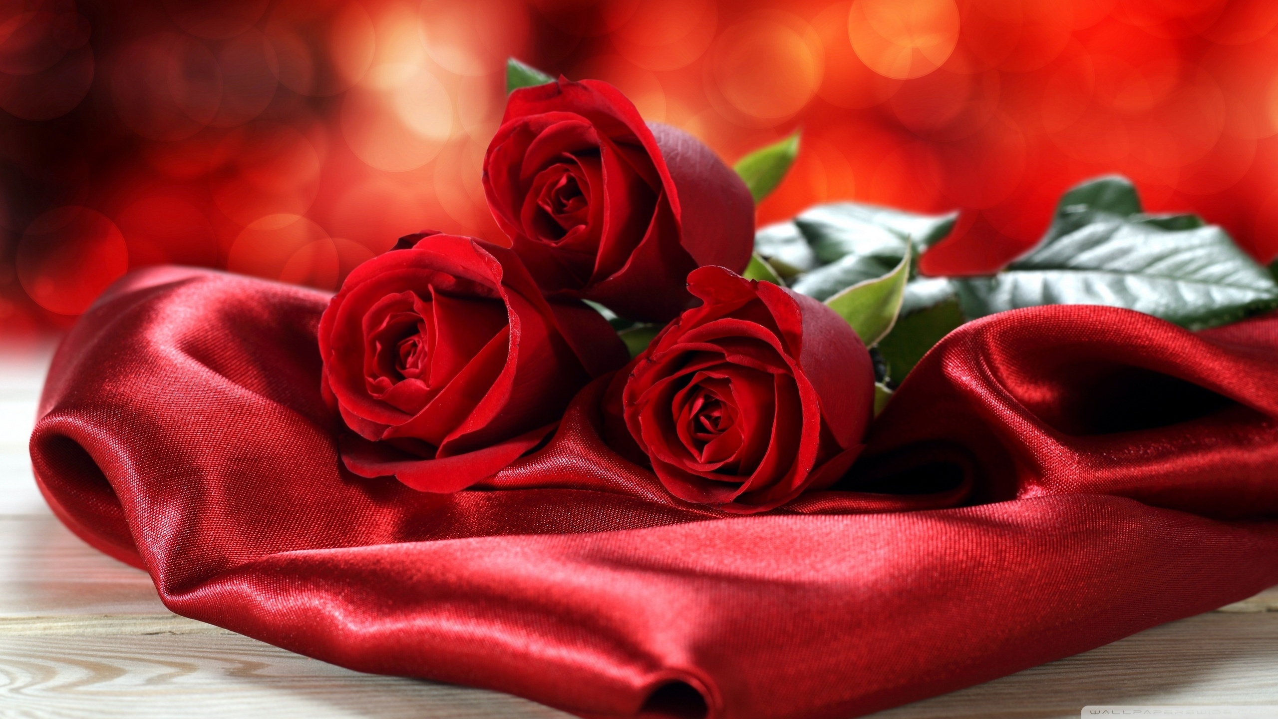 Wallpaper - HD Wallpaper 