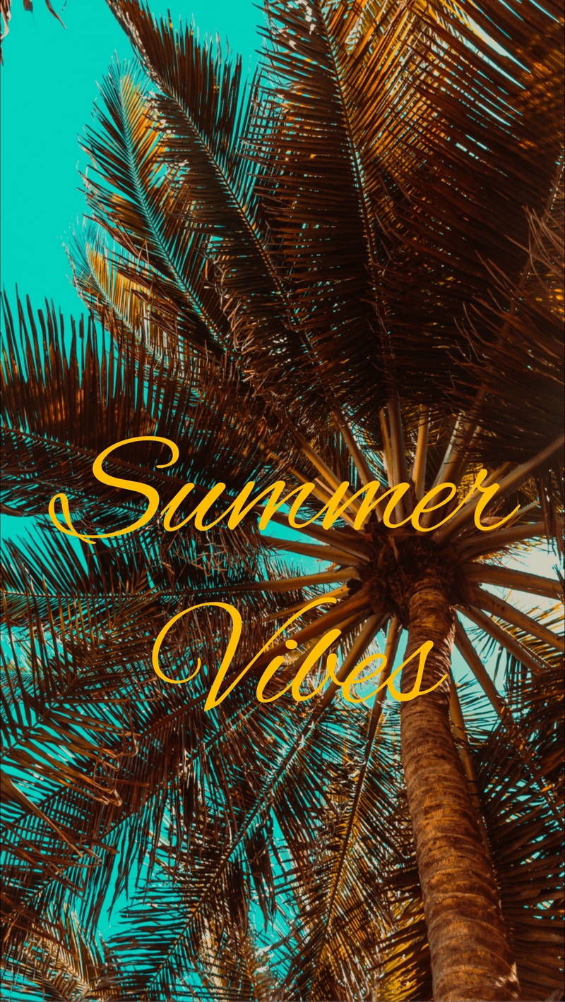 Wallpaper Summer, Vibes, Palm, Mood - Summer Vibes Wallpaper For Iphone - HD Wallpaper 