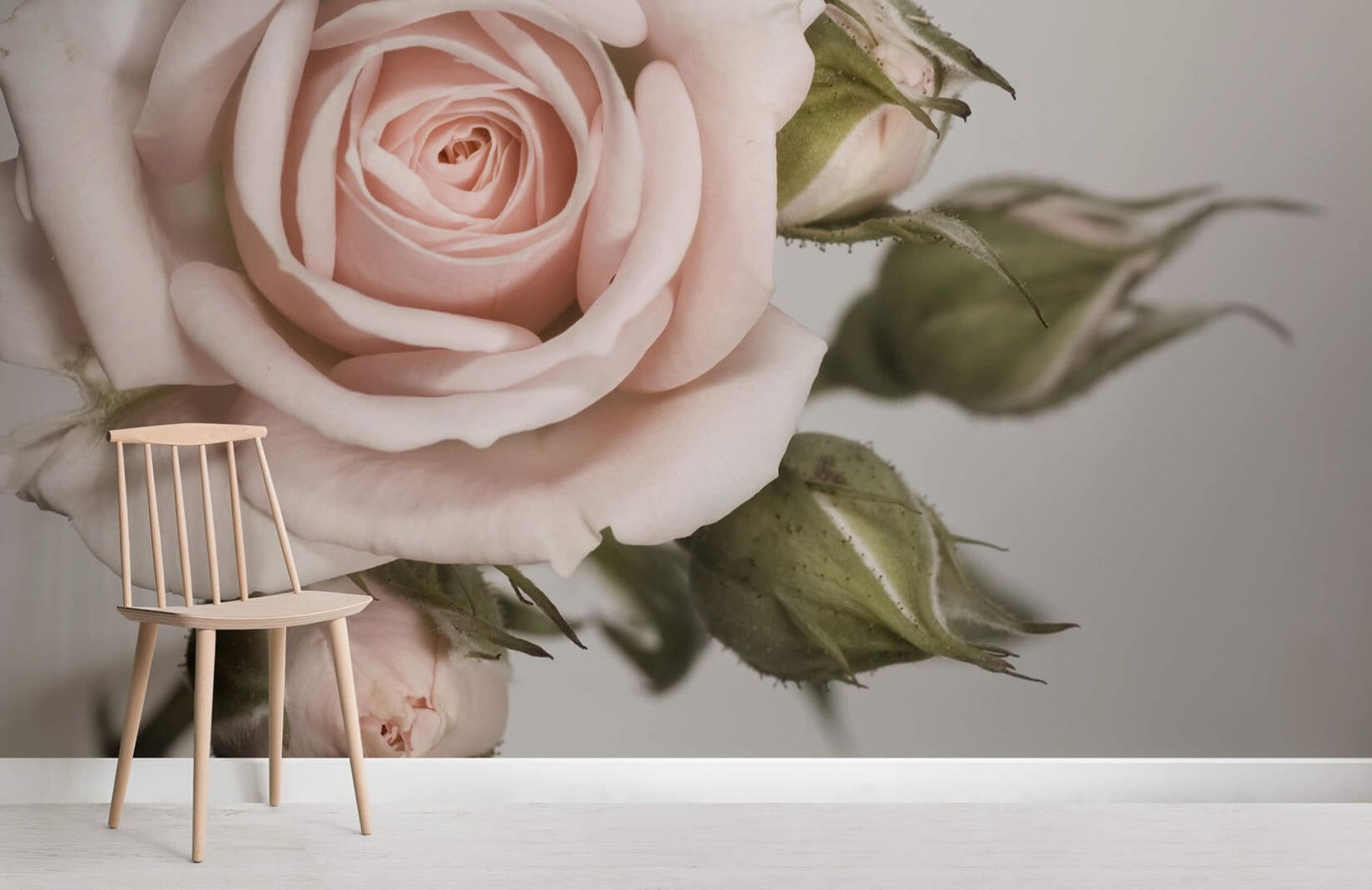 Rose Mural - HD Wallpaper 
