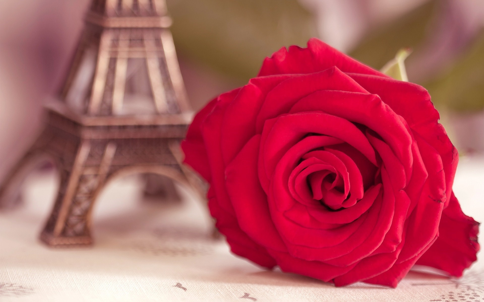 Cute Roses Wallpapers - Eiffel Tower With Red Rose - HD Wallpaper 
