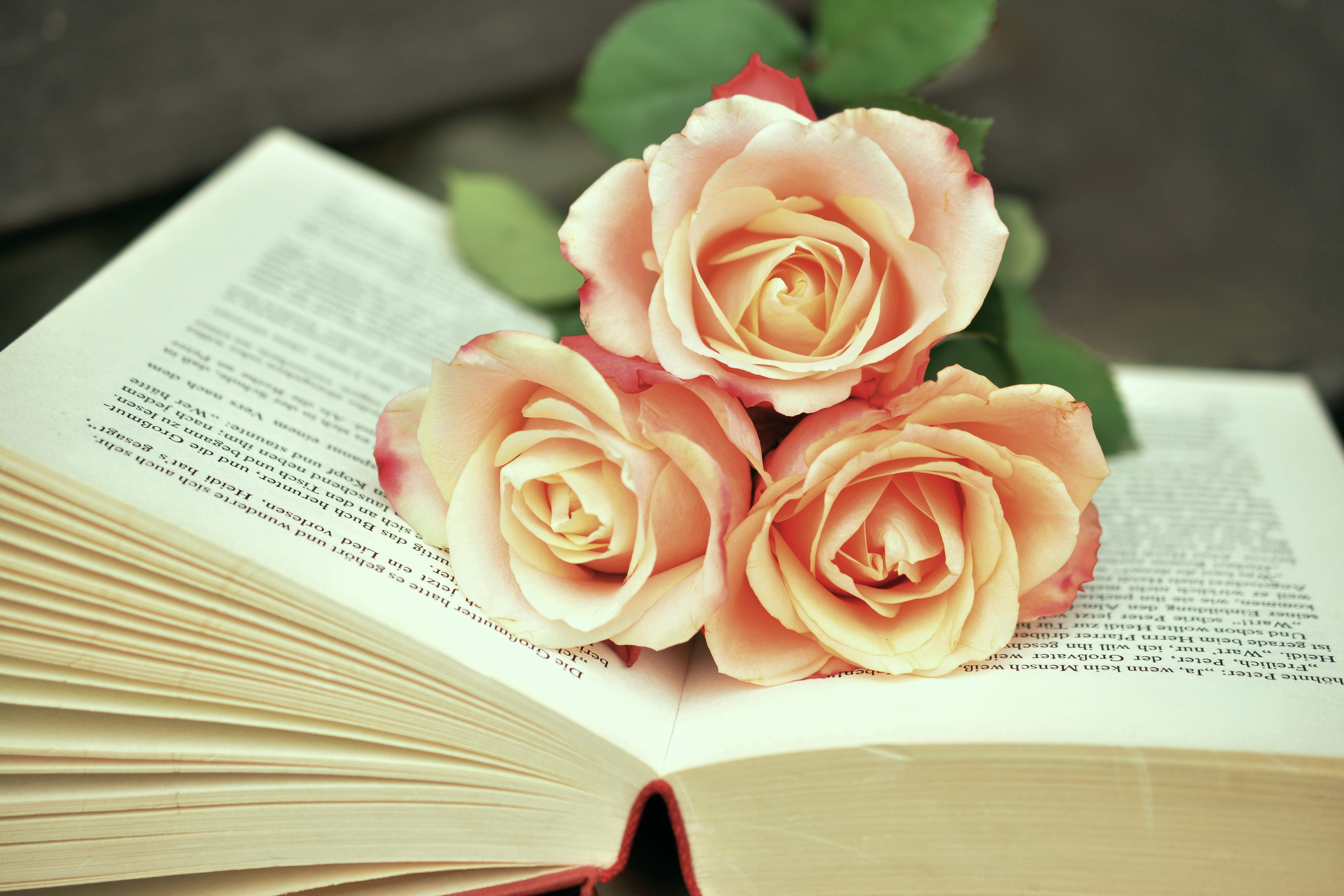 Book And Roses - HD Wallpaper 