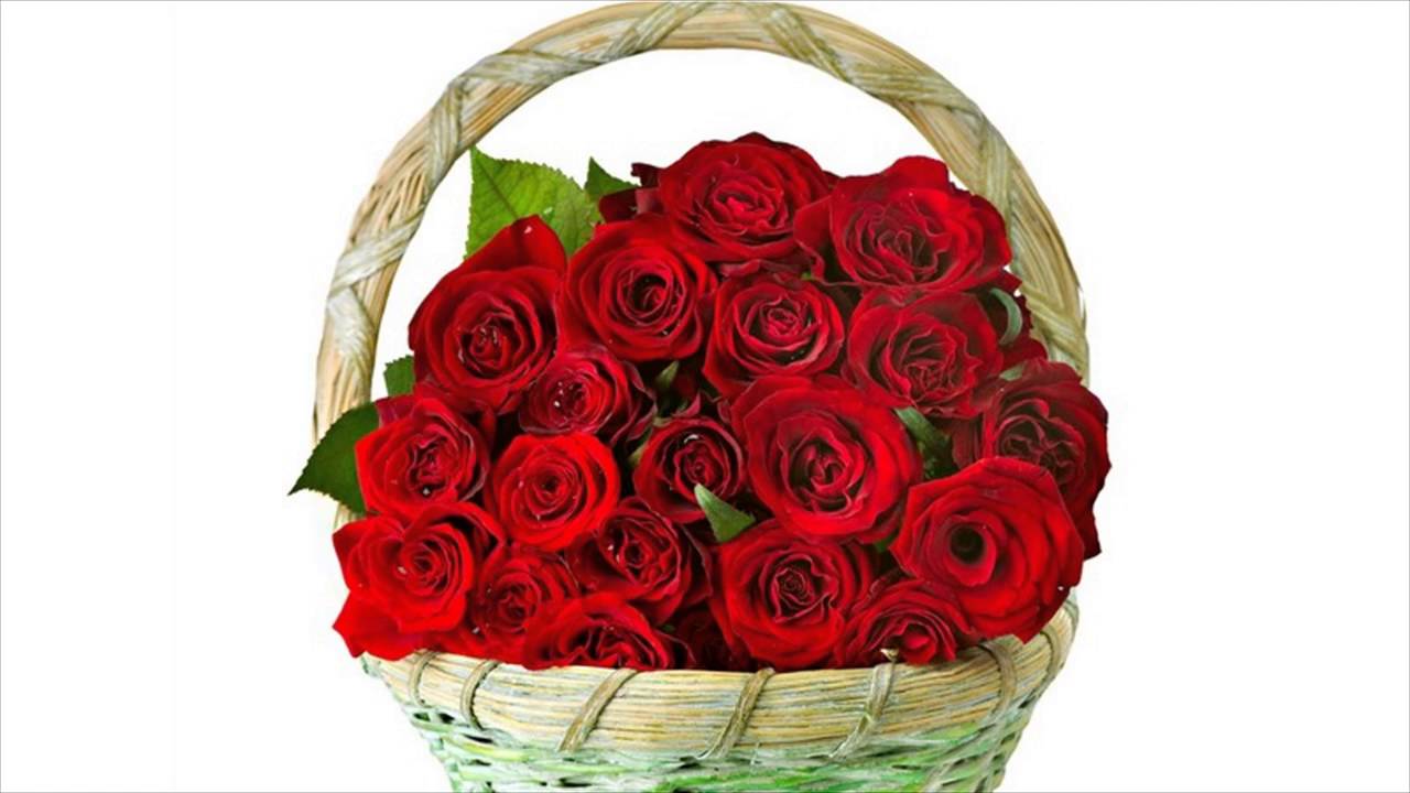 Beautiful Bouquet Of Red Roses - HD Wallpaper 