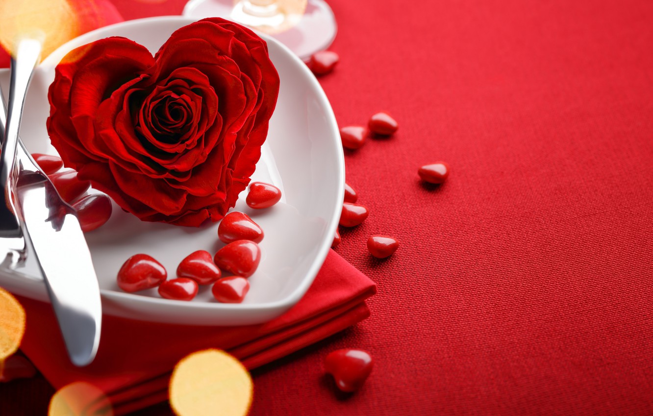 Photo Wallpaper Red, Love, Rose, Background, Romantic, - Valentine Day Rose Background - HD Wallpaper 