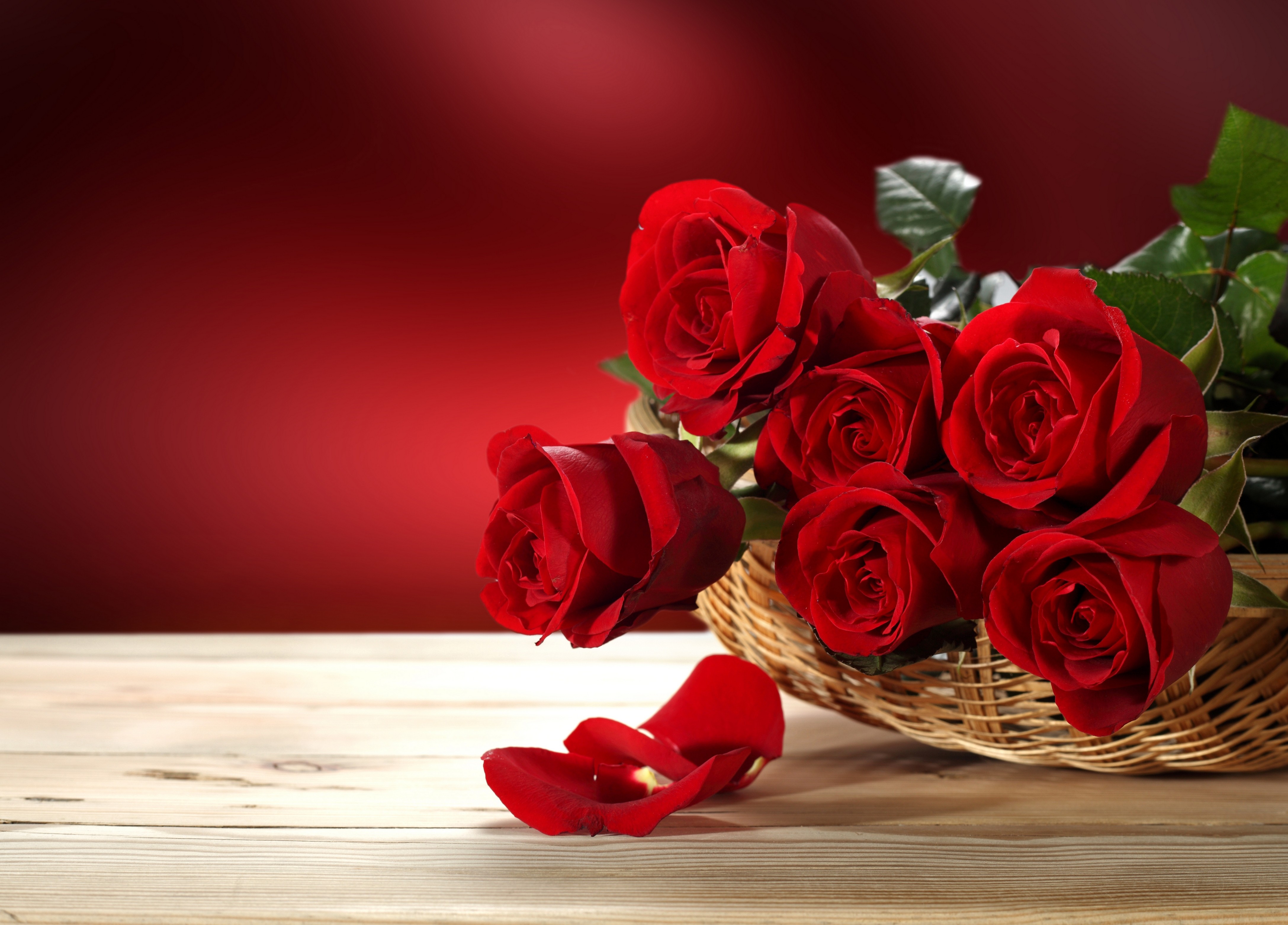 Happy Rose Day Hd - HD Wallpaper 