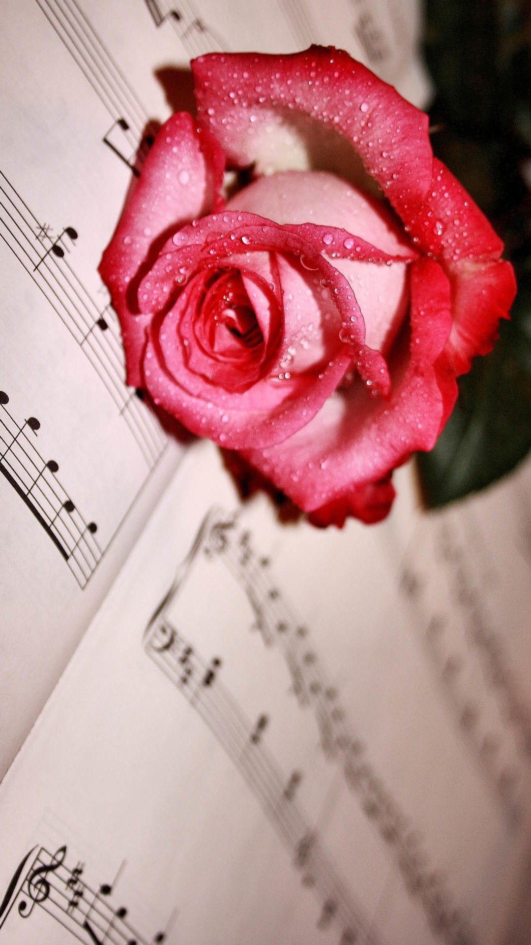 1080x1920, Dew Red Rose Lying Music Score - Music Notes And Flowers - HD Wallpaper 