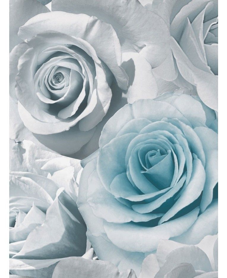 Blue And Silver Rose - HD Wallpaper 