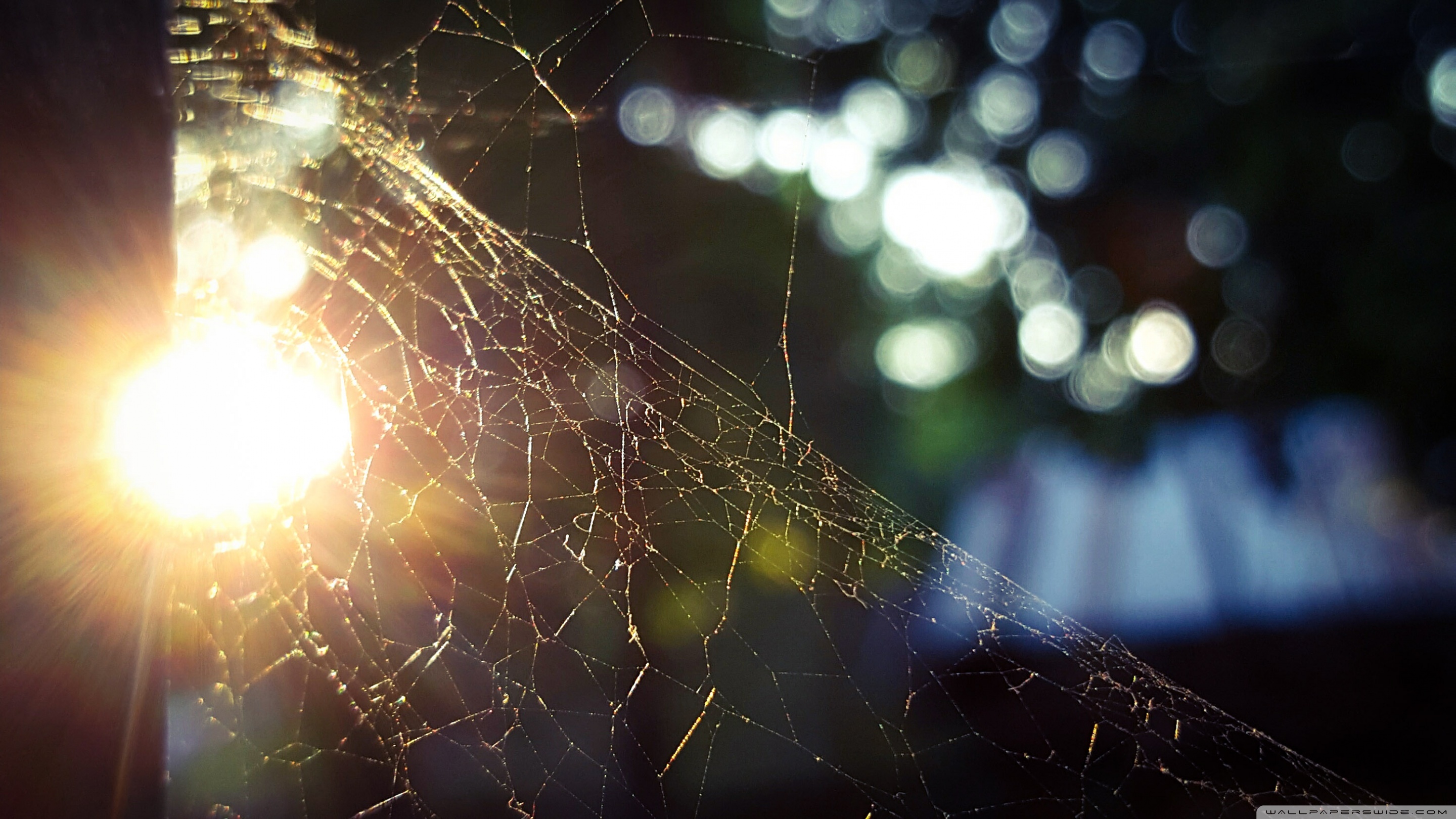 Light Of Hope Hd - 2880x1620 Wallpaper Light Of Hope Hd - 2880x1620 Wallpaper