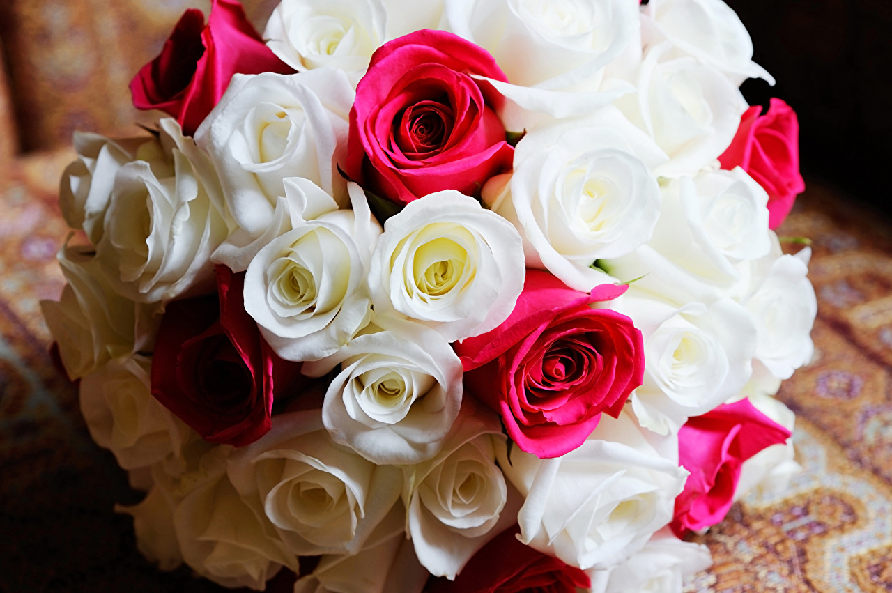 White And Red Rose Flowers Bokeh - HD Wallpaper 