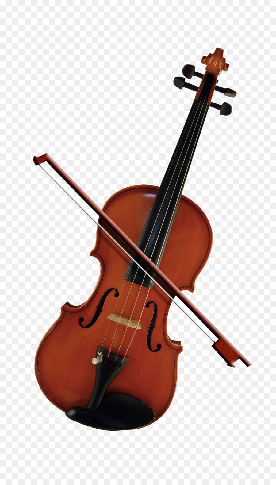 Bass Violin Cello Violone Viola - Violin Png - HD Wallpaper 