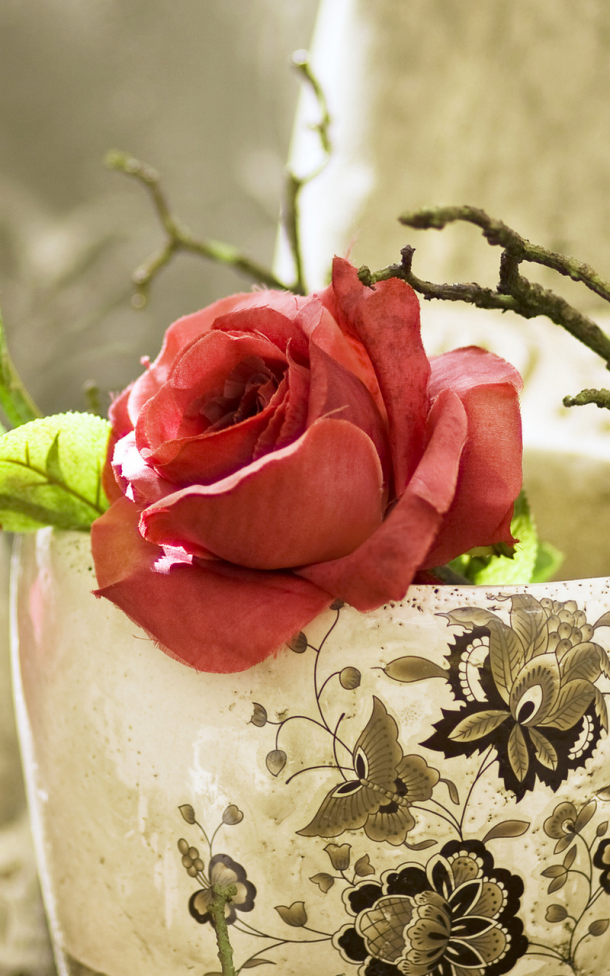 Note 4 Wallpaper - Rose On The Pot Photography - HD Wallpaper 