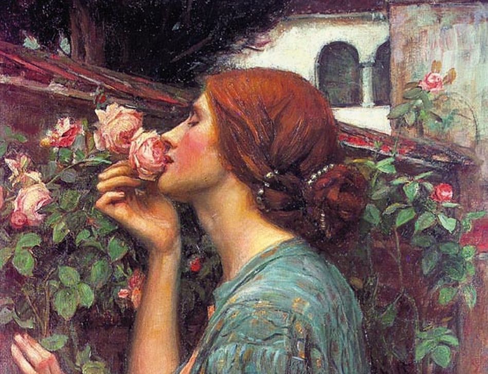 John William Waterhouse My Sweet Rose - HD Wallpaper 