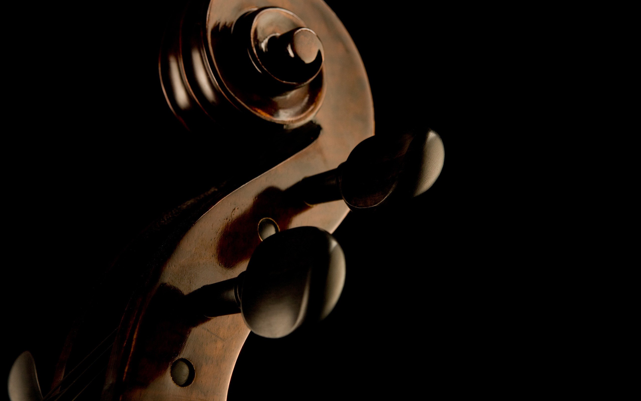 Violin - HD Wallpaper 
