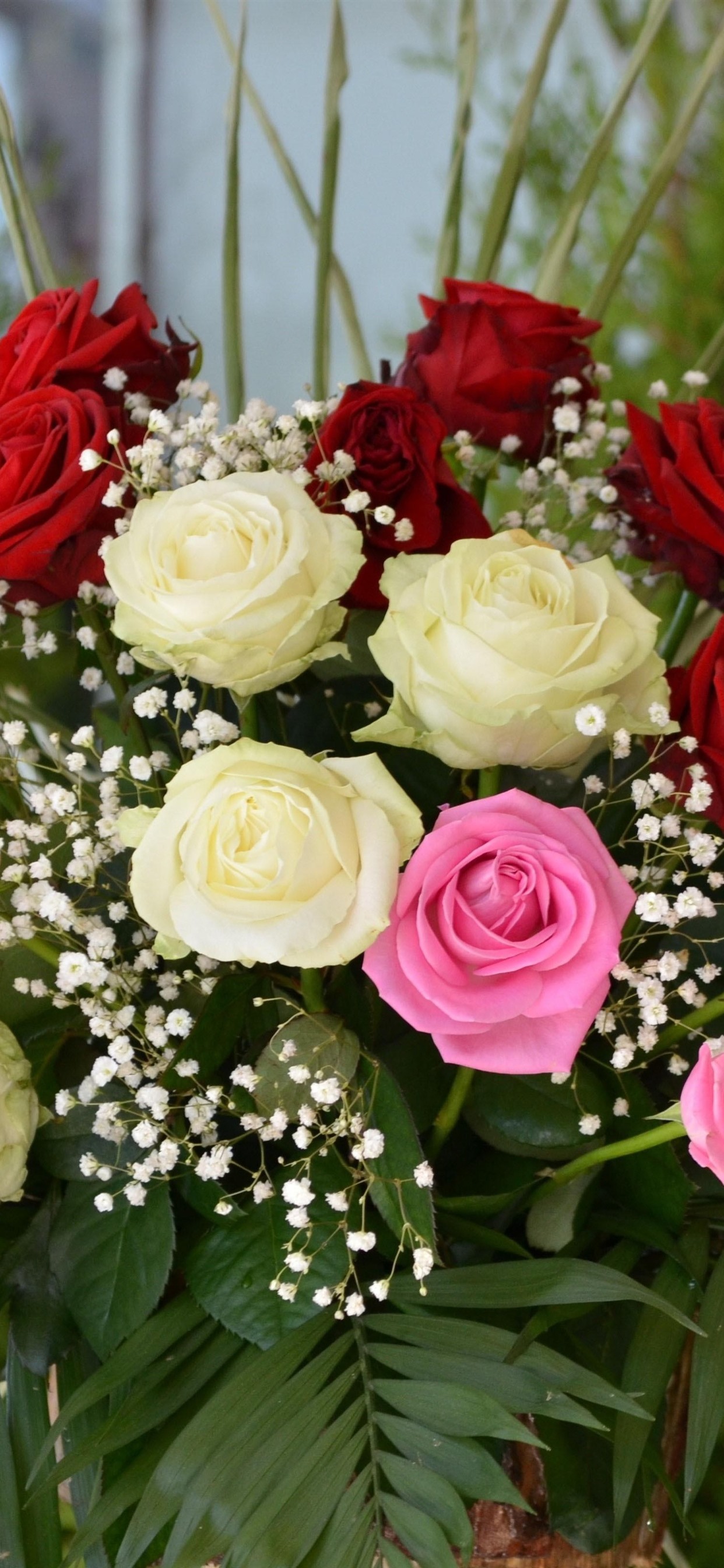 Imagen De Flores Rosas Rojas - HD Wallpaper 