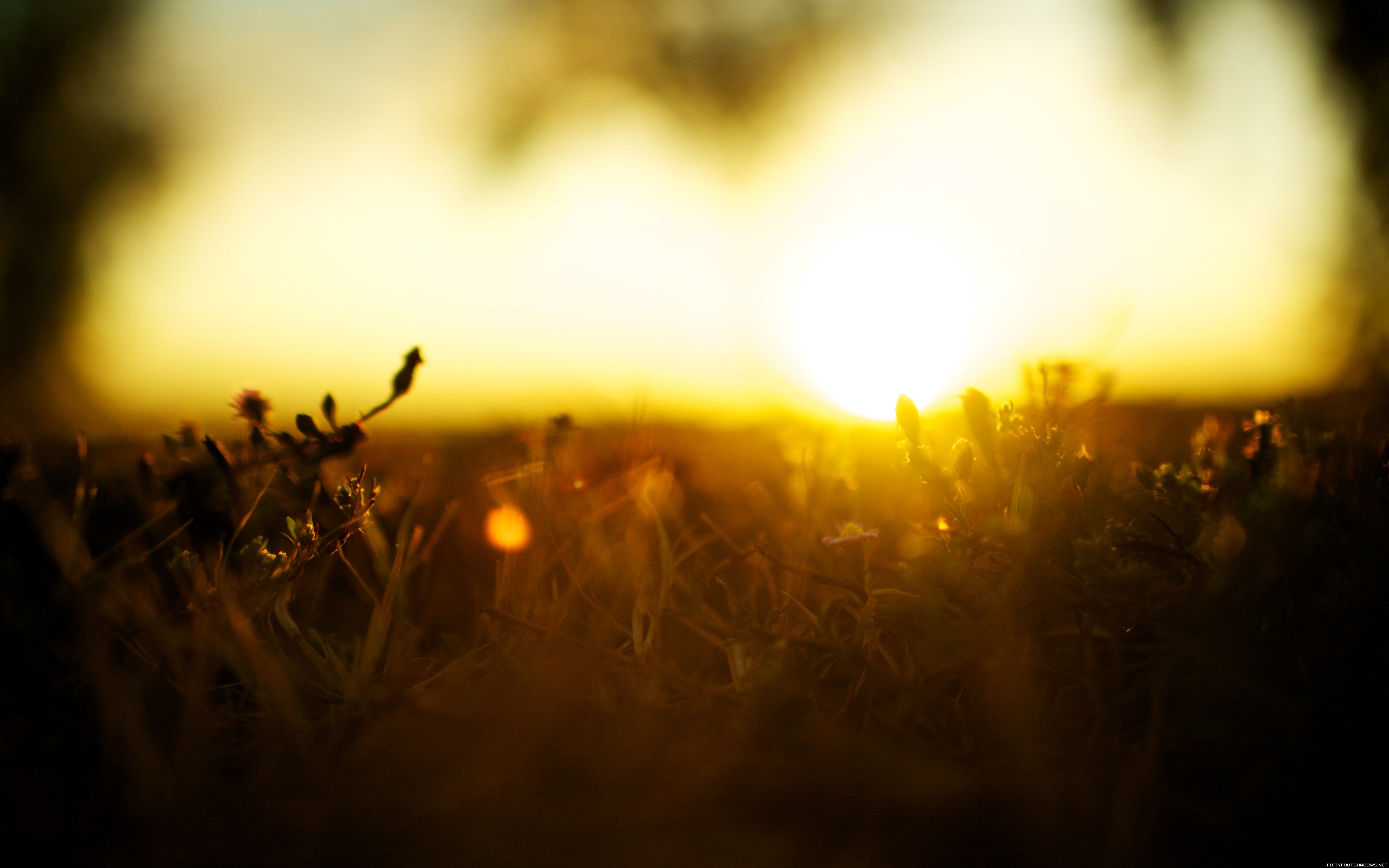 Day Life Wallpaper Day, Life, Photomanipulations - Música Let Her Go - HD Wallpaper 