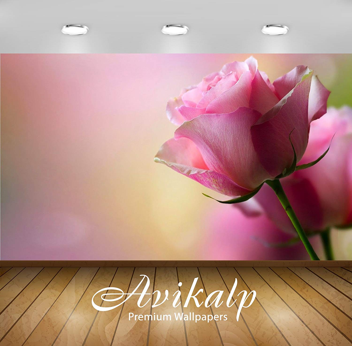 Avikalp Exclusive Awi2428 Beautiful Pink Rose Full - Happy Rose Day Cute - HD Wallpaper 