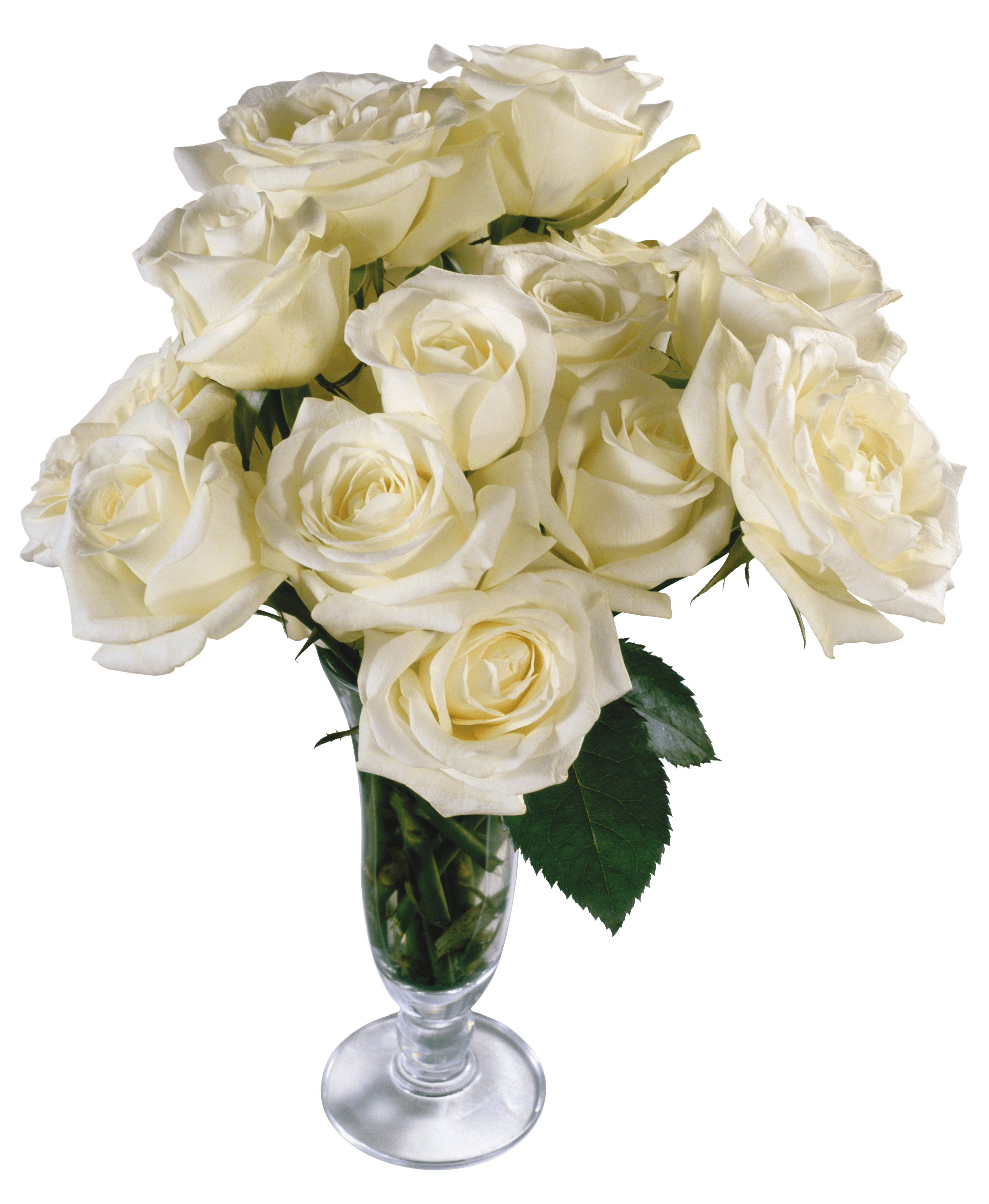 White Rose Png Transparent File - Bouquet Of White Roses Png - HD Wallpaper 