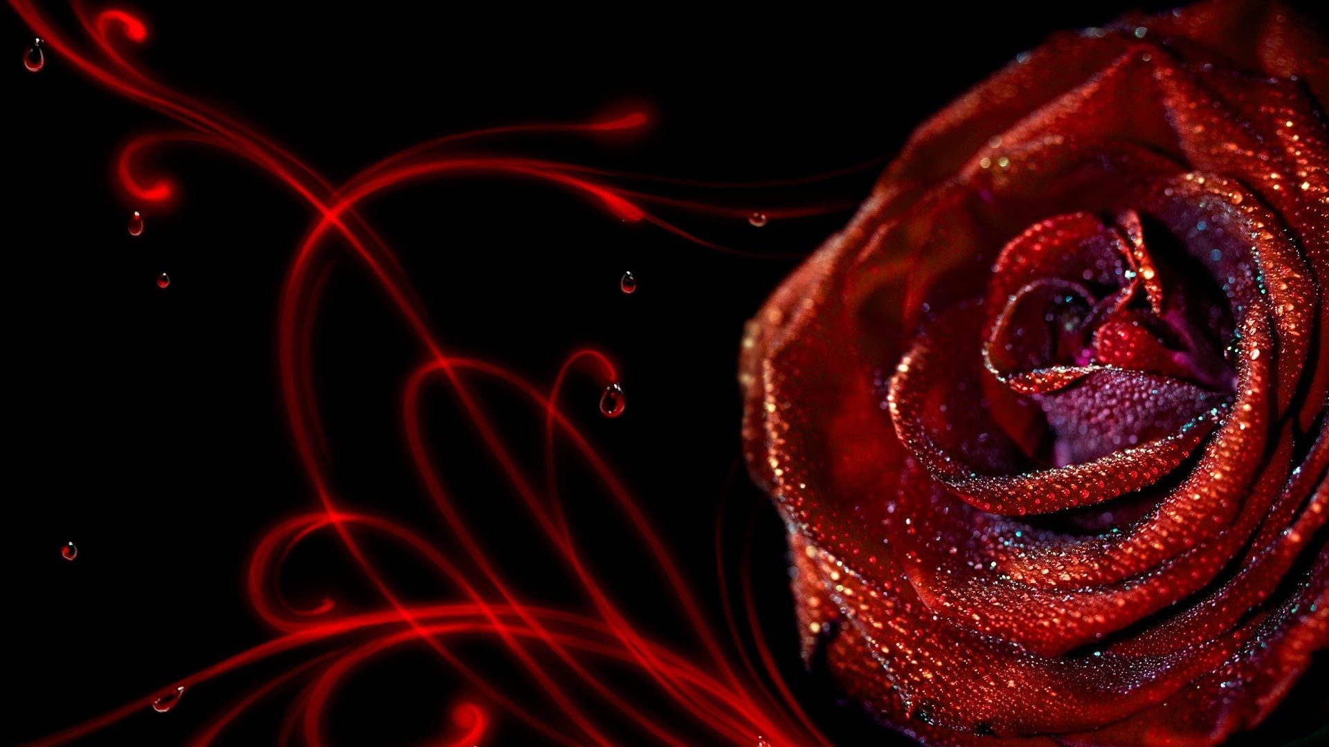 Rosa Roja 3d - Abstract Rose - HD Wallpaper 