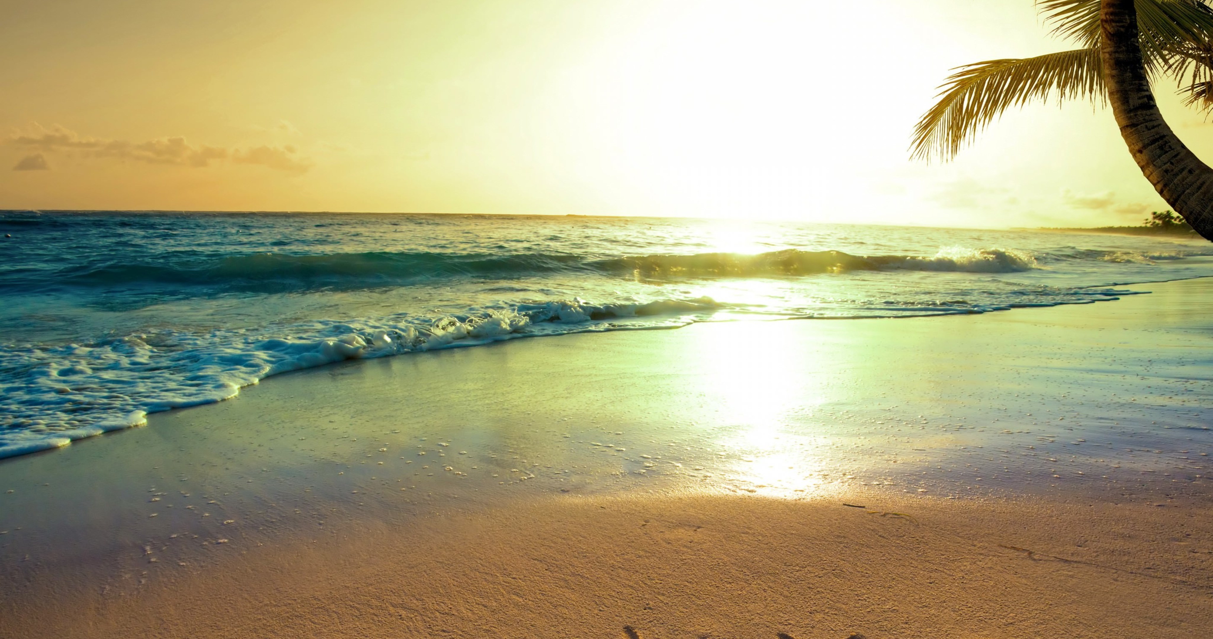 Tropical - HD Wallpaper 