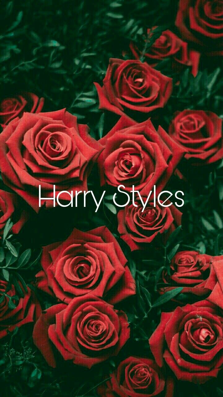Harry Styles And Roses - HD Wallpaper 