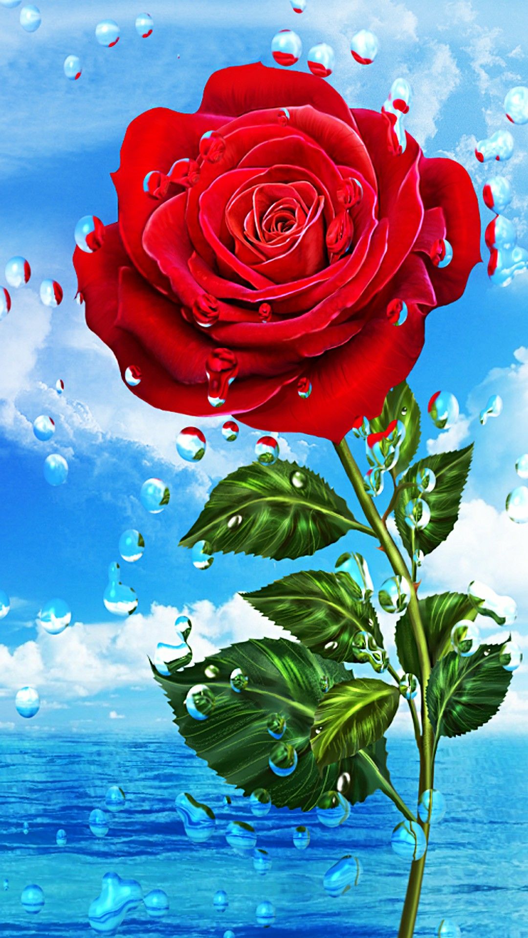 Mobile Rose Wallpaper Hd - 1080x1920 Wallpaper 
