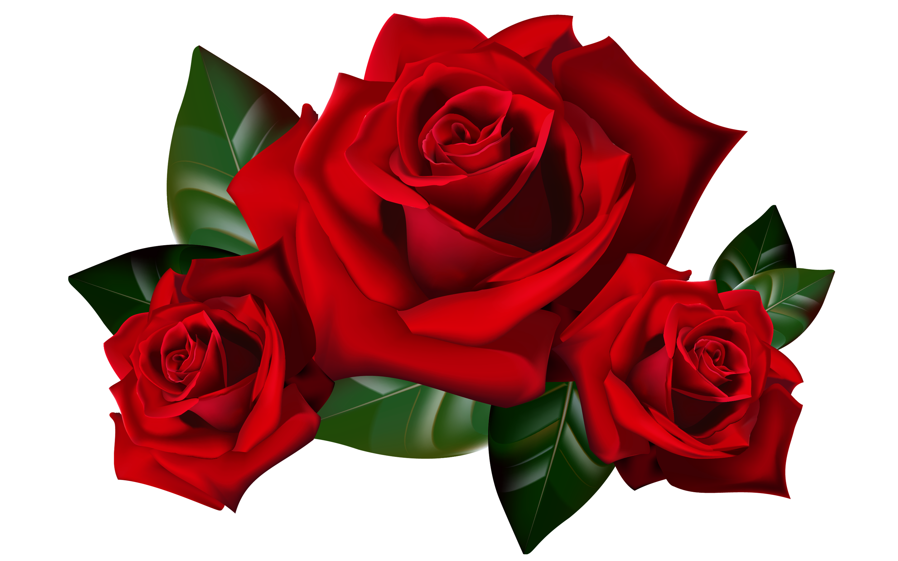 Red Roses Clipart - HD Wallpaper 