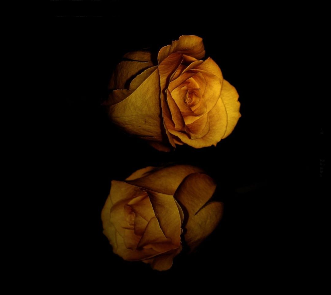 Mobile Phone - HD Wallpaper 