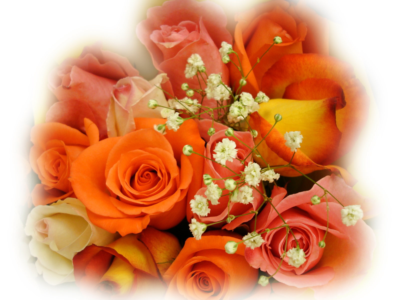 Bouquet Of Beautiful Orange Roses - Colorful Roses - HD Wallpaper 