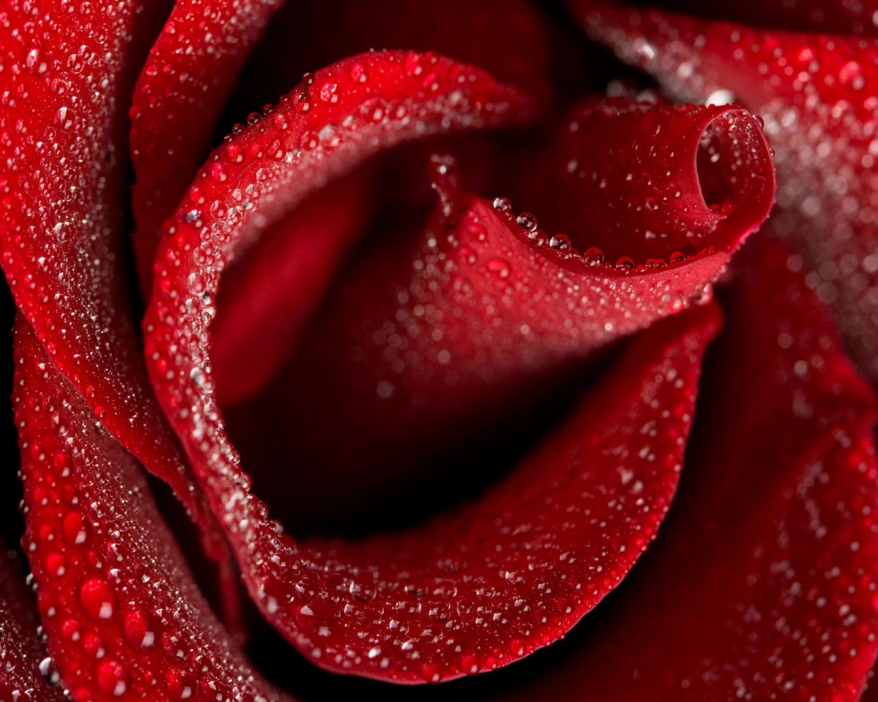 Most Meaningful Dp For Whatsapp - HD Wallpaper 