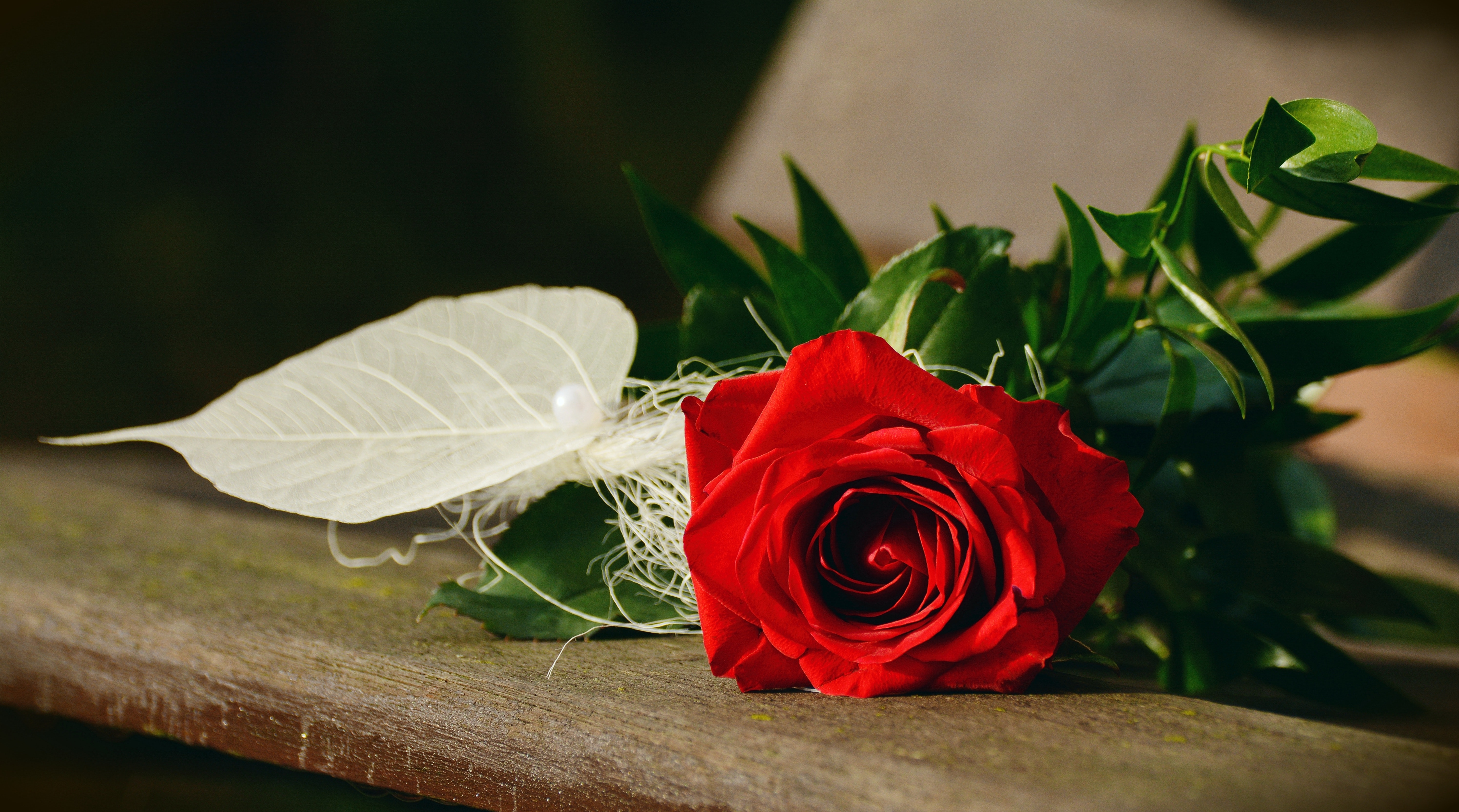 Love Red Rose Flowers - HD Wallpaper 