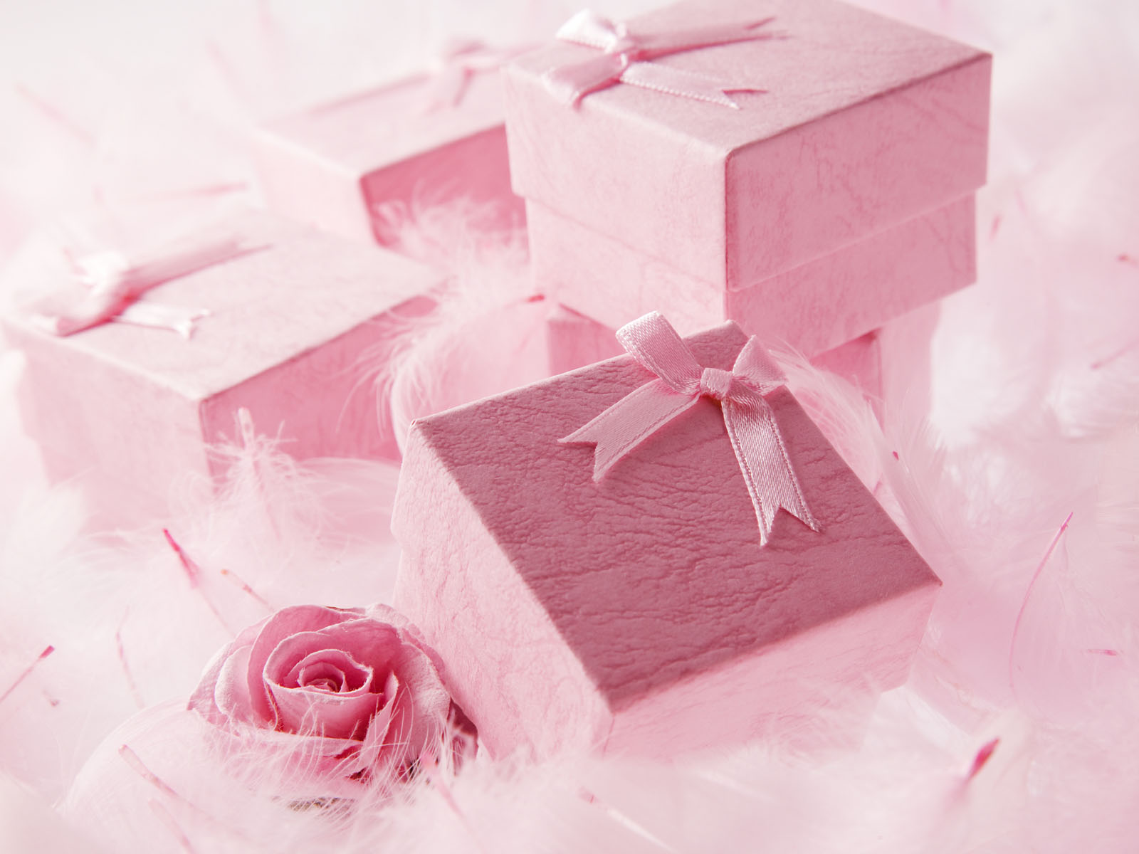 Gift Wallpaper Pink - HD Wallpaper 
