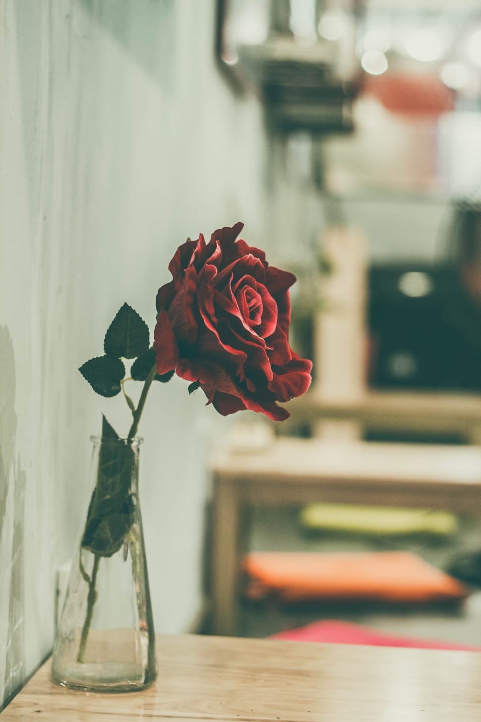 Shallow Focus Photography Of Single Red Rose On Glass - Vase For Single Red Rose - HD Wallpaper 